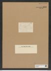 Diatomeae indet. Zeichnungen Sammlung Grunow Nr. 9116 (NHMW-BOT-W0378883)
